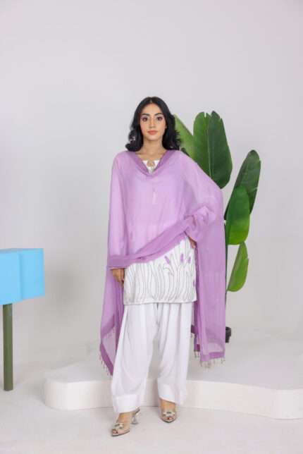 Fiabesco Velvet Suit with Chiffon Dupatta – 3 Piece