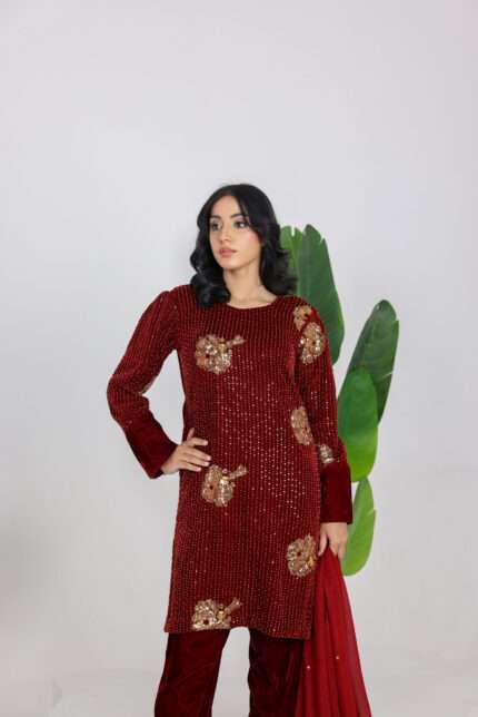 Bellezza Velvet Suit with Chiffon Dupatta – 3 Piece